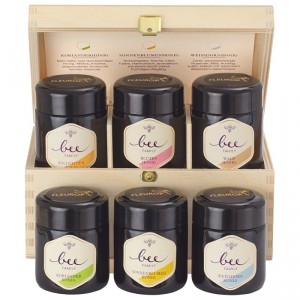 Honig Geschenk-Set der Bee-Family (6x 70g)